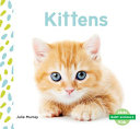Kittens cover