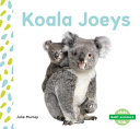 Koala Joeys cover