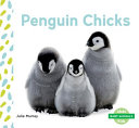 Penguin Chicks cover
