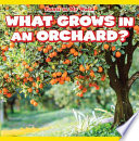 What Grows in an Orchard? cover
