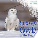 Snowy Owls of the Tundra cover