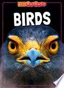 Birds cover
