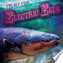 Electric Eels cover