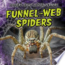 Funnel-Web Spiders cover
