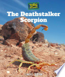 The Deathstalker Scorpion cover