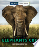When Elephants Cry cover