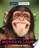 When Monkeys Laugh cover