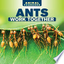 Ants Work Together cover