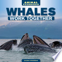 Whales Work Together cover