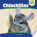 Chinchillas cover
