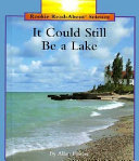 It Could Still Be a Lake cover