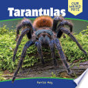 Tarantulas cover