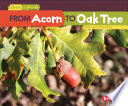 From Acorn to Oak Tree (Second Series) cover