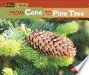 From Cone to Pine Tree (Second Series) cover