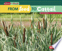 From Seed to Cattail (Second Series) cover