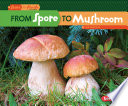 From Spore to Mushroom (Second Series) cover