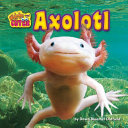 Axolotl cover