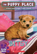 Bitsy cover