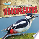 A Bird Watcher's Guide to Woodpeckers cover