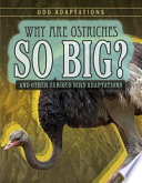 Why Are Ostriches So Big? And Other Curious Bird Adaptations cover