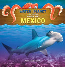 Life in the Gulf of Mexico cover