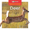 Deer cover
