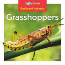 Grasshoppers cover