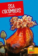 Sea Cucumbers cover