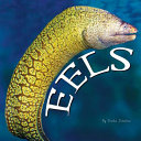 Eels cover