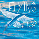 Flying Fish cover