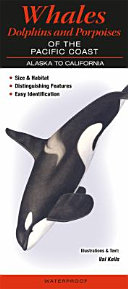 Whales and Dolphins cover