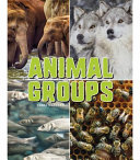 Animal Groups cover