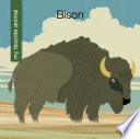 Bison cover