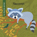 Raccoon cover