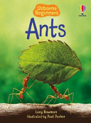 Ants cover