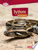 Pythons on the Hunt cover