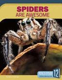 Spiders Are Awesome cover