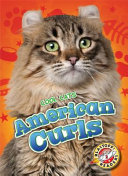 American Curls cover
