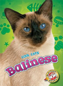 Balinese cover