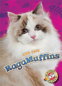 RagaMuffins cover