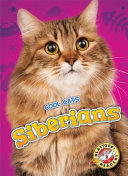 Siberians cover