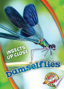 Damselflies cover