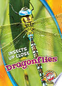 Dragonflies cover