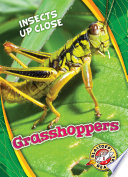 Grasshoppers cover