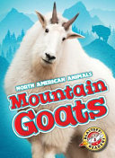 Mountain Goats cover