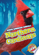 Northern Cardinals cover