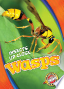 Wasps cover