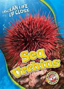Sea Urchins cover
