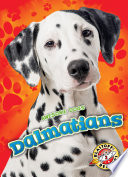 Dalmatians cover