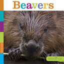 Beavers cover